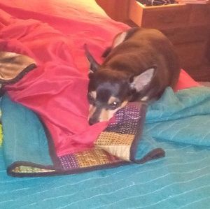 Meet your Posher, Gerri